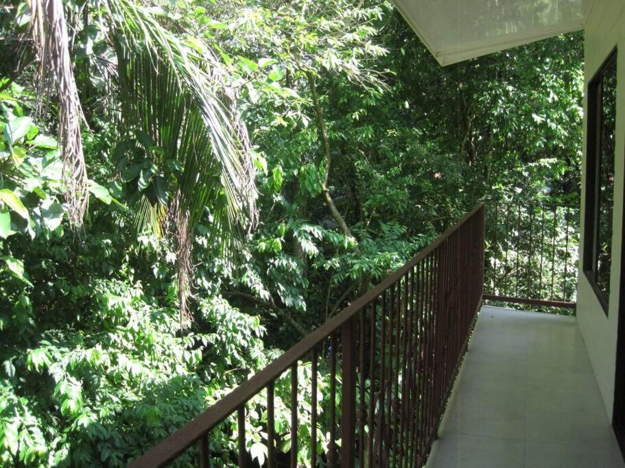Casa Palmera Cocles, 300M To The Beach Puerto Viejo de Talamanca Eksteriør bilde