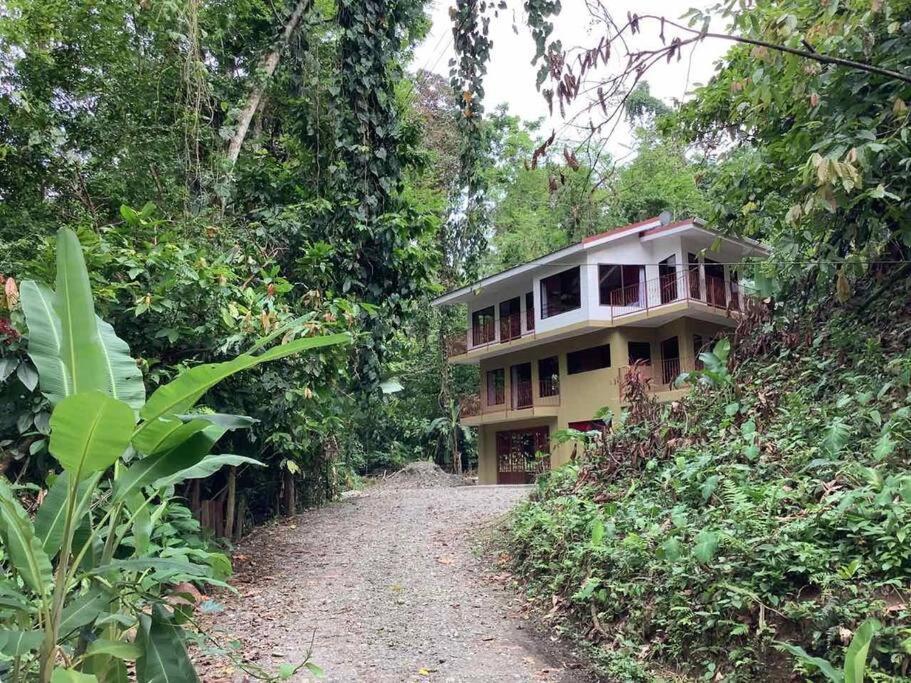 Casa Palmera Cocles, 300M To The Beach Puerto Viejo de Talamanca Eksteriør bilde